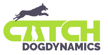 CATCH Dog Dynamics